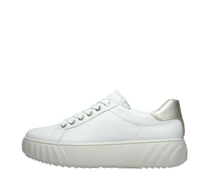 Mikky: Platform Sneaker - Cream 17